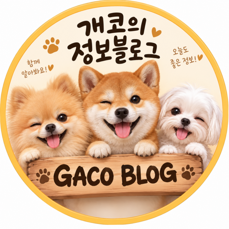 개코의 정보 블로그